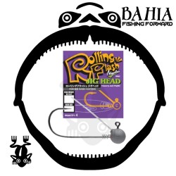 Nogales - Rolling Flash