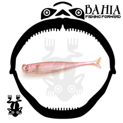 Raid - Little Sweeper 2.5"