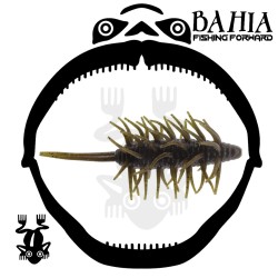 Hideup - Coike Shrimp Big