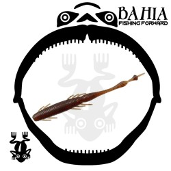 Flash Union - Flash Cetail...