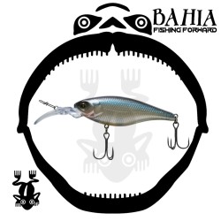 Flash Union - Speed Killer