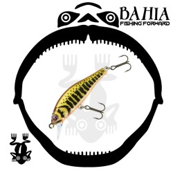 Sakura - Flat Phoxy Minnow...