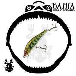 Sakura - Flat Phoxy Minnow...