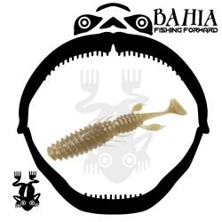 Flash Union - Abacus Shad 4.3"