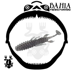 Flash Union - Abacus Shad 2.2"