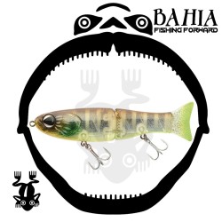 Sakura - S-Shiner 170 S