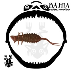 Hideup - Popper Frog