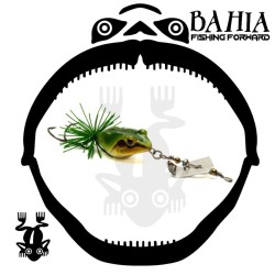 megafrox - Buzz Frog