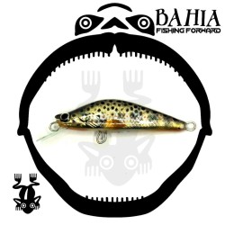 Valentino Vidrasc - Minnow  50