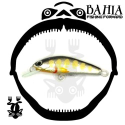 Valentino  Vidrasc - minnow 45