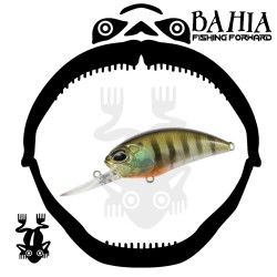 Duo Realis Crankbait m65 11A