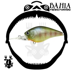 Lucky craft LC 1.5 DDDRS