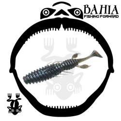 Flash Union - Abacus Shad 4.3"