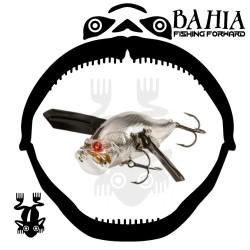 Adusta - Zacrawl  Jr Dash