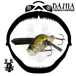 Adusta - Zacrawl  Jr Dash