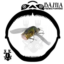 Adusta - Zacrawl Yajirobee