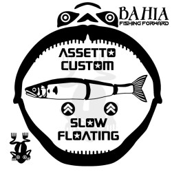 Swimbait Gan Craft - Scegli...