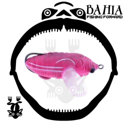 Legio Aurea - Catilina 2.5"