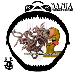 Fladen - Vermz Heartworms