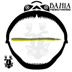 Legio Aurea - Augustus 4.5"