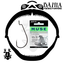 Bkk - Muse