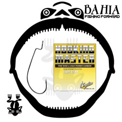 Nogales- Hooking Master...