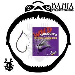 Nogales - Wild Mosquito